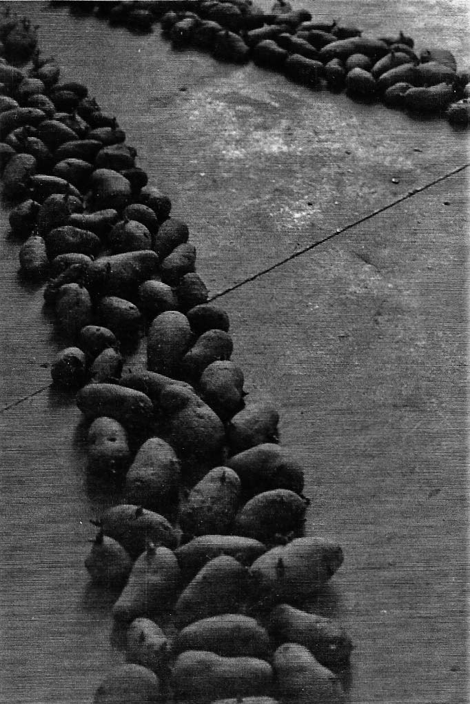 Private-investigations-I-1