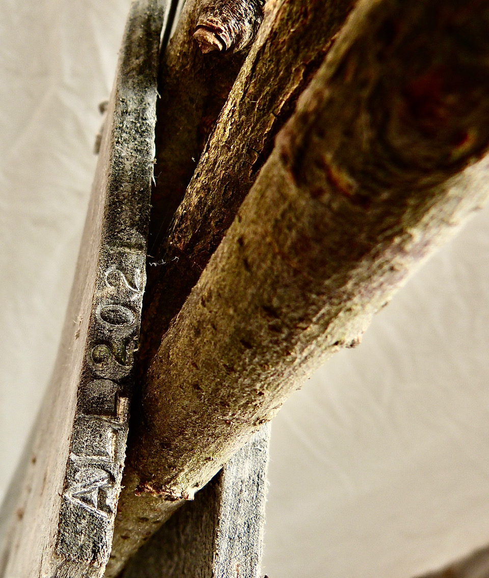 03_Für_einen_Bekannten._Aus_vorgegebenen_Materialien._Hölzer,_Blattgold_detail