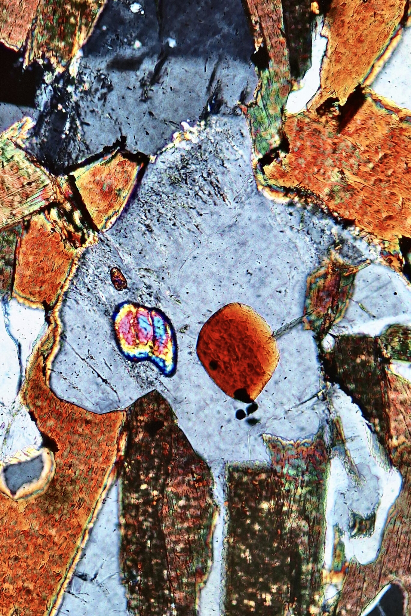 20260619_093536 2
