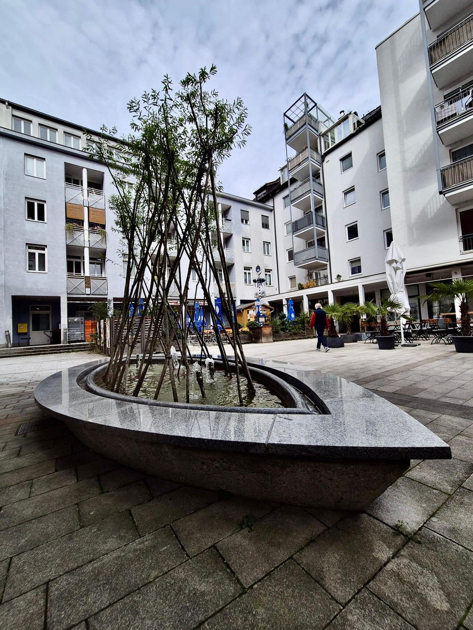 45_BESETZT-_GESETZT_bestehender_Brunnen_wird_mit_Stecken_die_austreiben