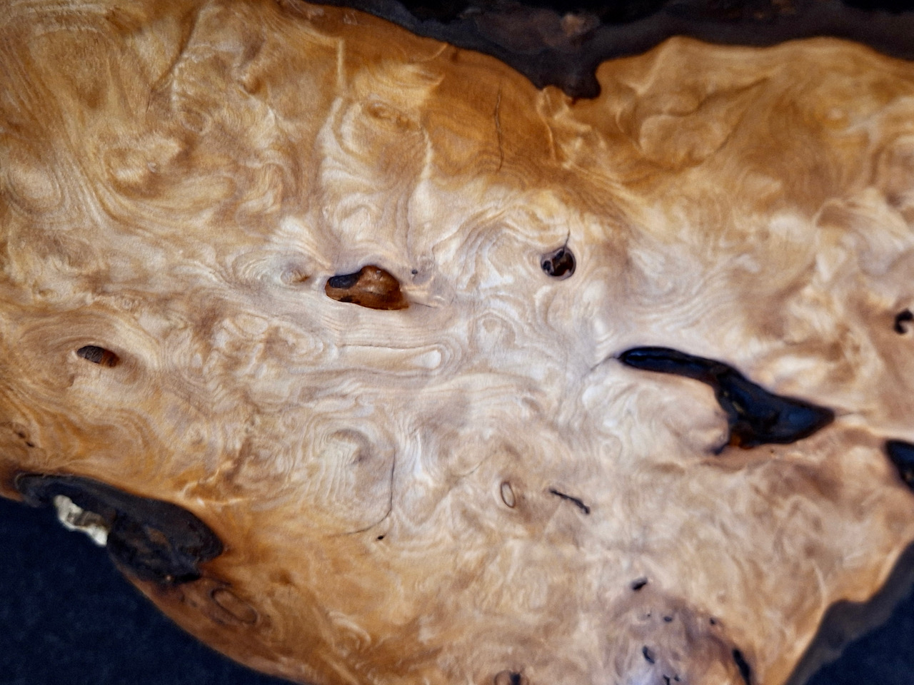 53_OBJEKT_Holz_aus_Gesteinshohlräumen_auf_textilem_Oval_Dm_90-86cm_H_14cm_detail_Fichte
