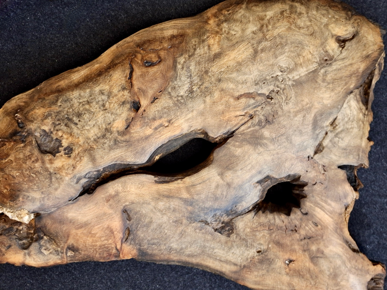 54_OBJEKT_Holz_aus_Gesteinshohlräumen_auf_textilem_Oval_Dm_90-86cm_H_14cm_detail2_Buche